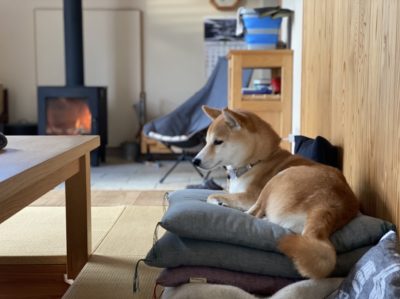 山暮らしの家　無垢の床の掃除